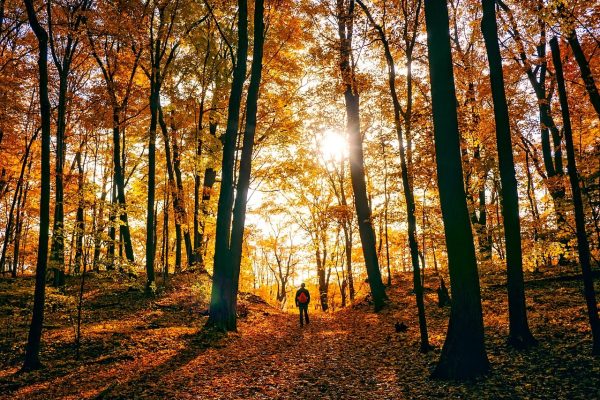 herbst in winterberg