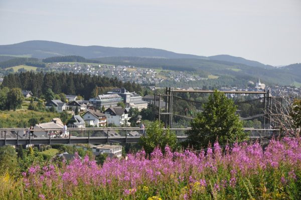 erlebniskappe winterberg die zwei lowen