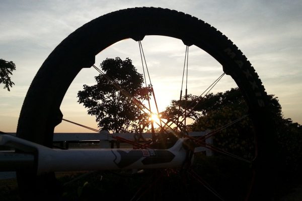 mountainbiken Winterberg die zwei löwen